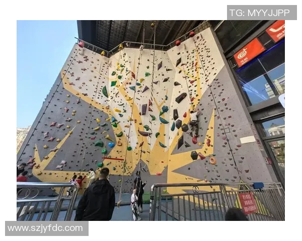 攀岩新手必看全方位入门指南与技巧分享