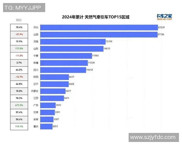 数据分析视角下液化天然气市场意识与趋势的深度探讨